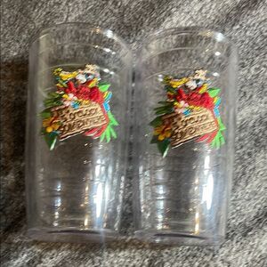 It’s 5 o’clock somewhere Tropical Parrot Clear Tumblers TERVIS